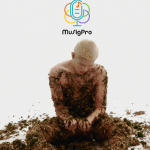 Julian Jacob - MuSigPro - Allusion